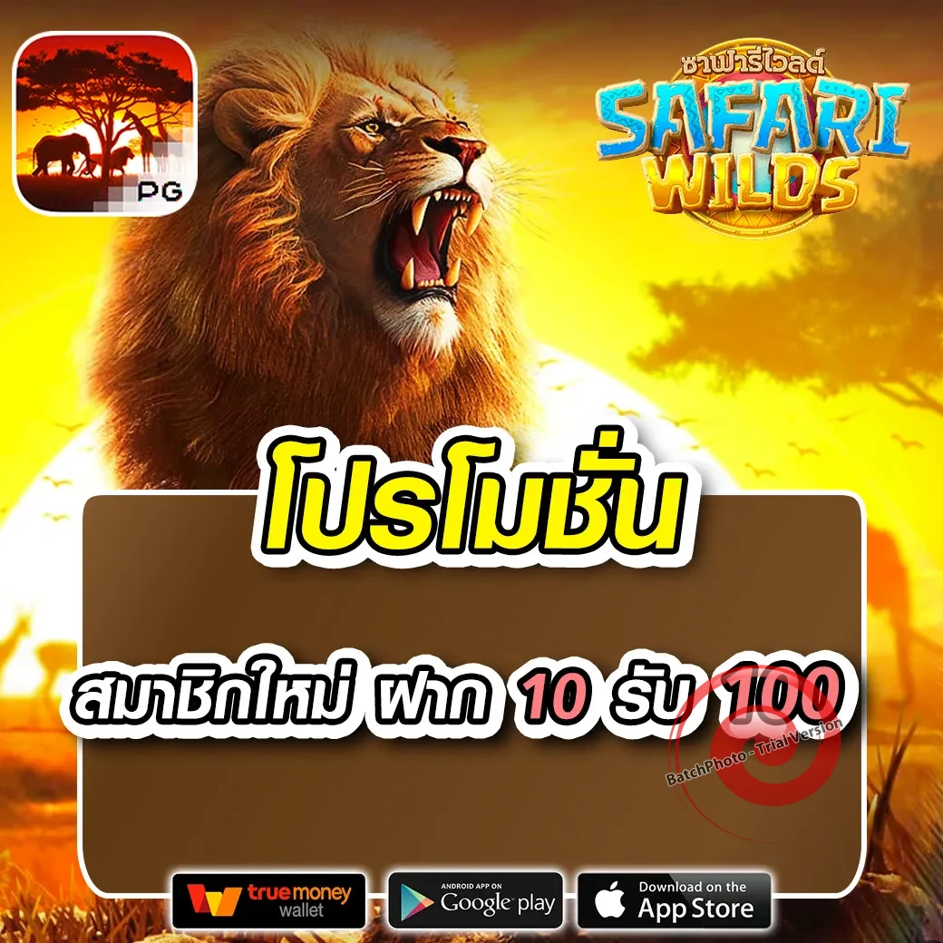 wink1688plus ทางเข้า